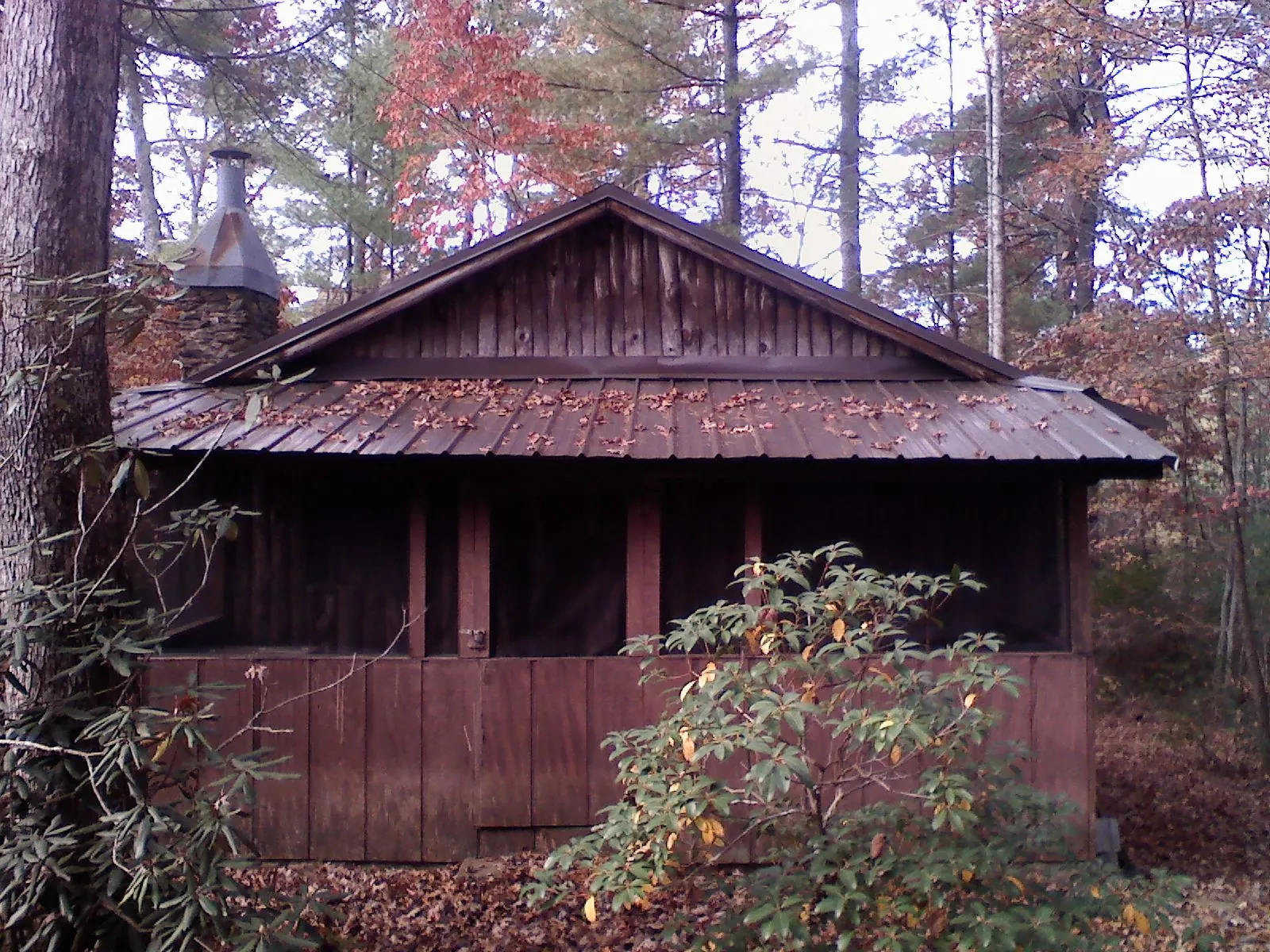 Metal roof over the screened porch of a rustic cabin in Mcloud